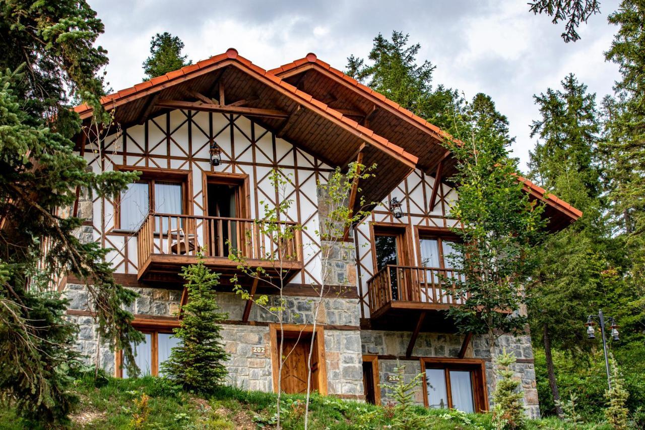 Foleya Mountain Resort Hotel & Villas Трабзон Екстериор снимка